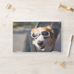 Cutest Baby Animals Corgi Goggles in the Car HP Laptop Skin