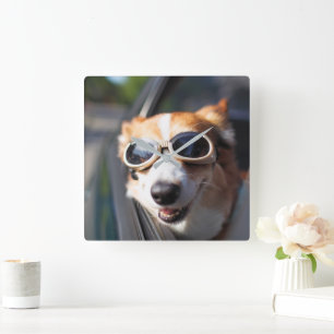 Cutest Baby Animals Corgi Goggles in the Car Square Wall Clock