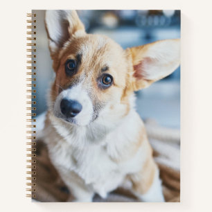 Cutest Baby Animals Corgi Head Tilt Notebook