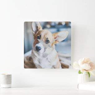 Cutest Baby Animals Corgi Head Tilt Square Wall Clock