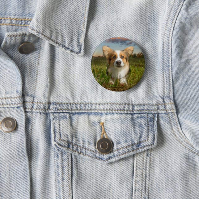 Cutest Baby Animals | Corgi in Cloudy Yard Button (In Situ)