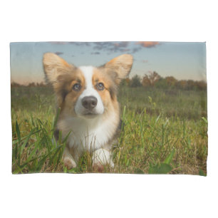 Cutest Baby Animals   Corgi in Cloudy Yard Pillow Case