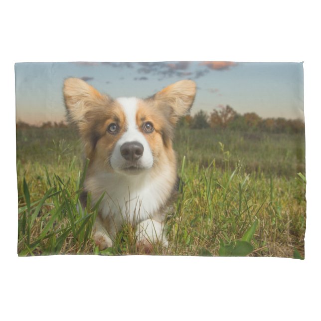 Cutest Baby Animals | Corgi in Cloudy Yard Pillow Case (Front)