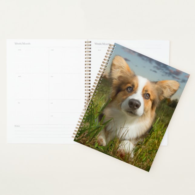 Cutest Baby Animals | Corgi in Cloudy Yard Planner (Display)