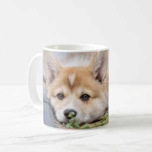 Cutest Baby Animals Corgi Laying in the Yard Coffee Mug