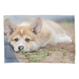 Cutest Baby Animals Corgi Laying in the Yard Pillow Case