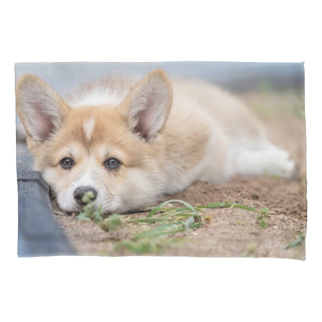 Cutest Baby Animals | Corgi Laying in the Yard Pillow Case (Front)