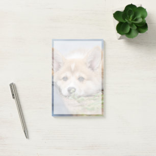 Cutest Baby Animals Corgi Laying in the Yard Post-it Notes