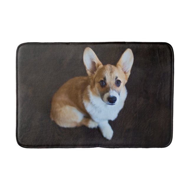 Cutest Baby Animals | Corgi Looking Up Bath Mat (Front)