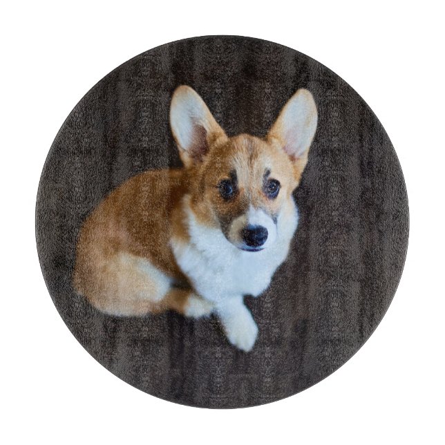 Cutest Baby Animals | Corgi Looking Up Cutting Board (Front)