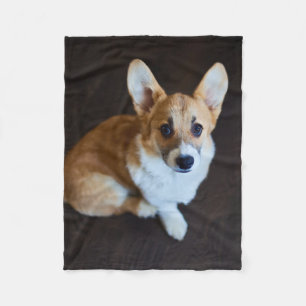 Cutest Baby Animals Corgi Looking Up Fleece Blanket