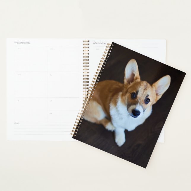 Cutest Baby Animals | Corgi Looking Up Planner (Display)