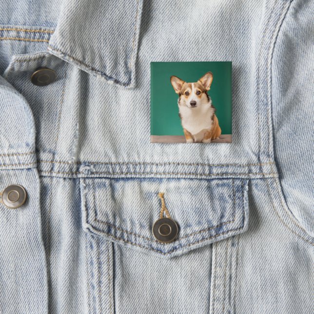 Cutest Baby Animals | Corgi on Teal Button (In Situ)