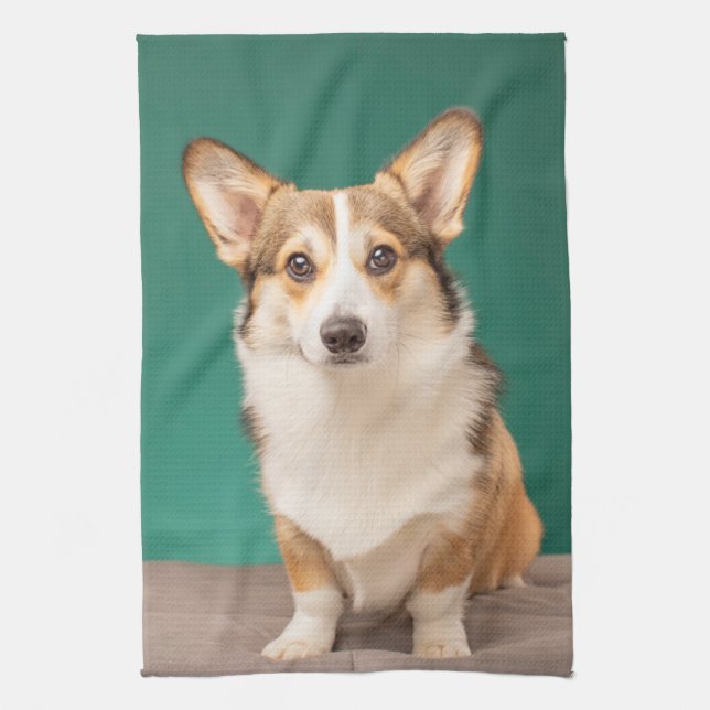 Cutest Baby Animals | Corgi on Teal Kitchen Towel (Vertical)