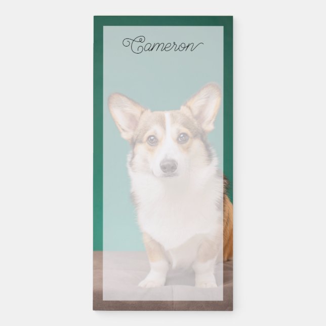 Cutest Baby Animals | Corgi on Teal Magnetic Notepad (Front)