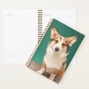 Cutest Baby Animals Corgi on Teal Planner