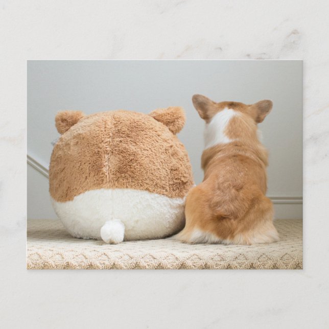 Cutest Baby Animals | Corgi & Plush Puppy Postcard (Front)