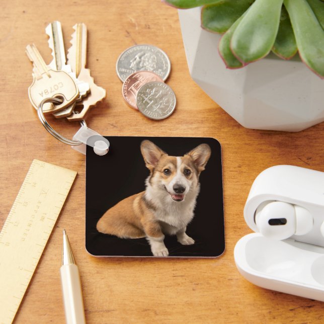 Cutest Baby Animals | Corgi Portrait on Black Keychain (Desk)
