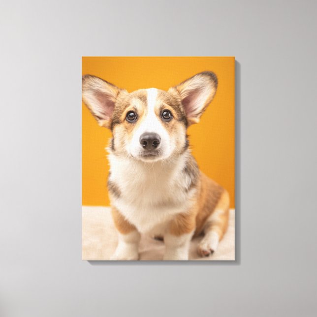 Cutest Baby Animals | Corgi Portrait on Orange Canvas Print (Front)