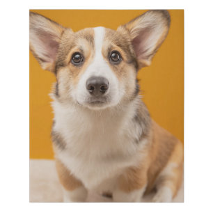 Cutest Baby Animals Corgi Portrait on Orange Faux Canvas Print