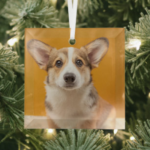 Cutest Baby Animals Corgi Portrait on Orange Glass Ornament