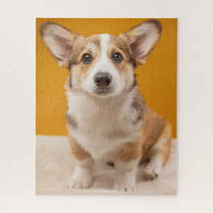 Cutest Baby Animals Corgi Portrait on Orange Jigsaw Puzzle