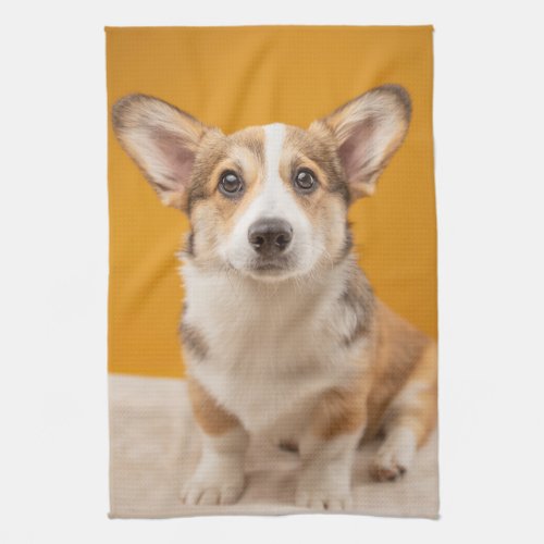 Cutest Baby Animals  Corgi Portrait on Orange Kitchen Towel