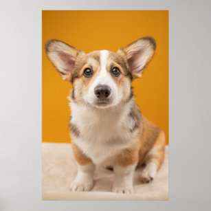 Cutest Baby Animals   Corgi Portrait on Orange Poster