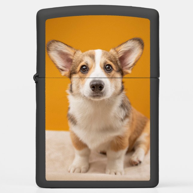 Cutest Baby Animals | Corgi Portrait on Orange Zippo Lighter (Front)