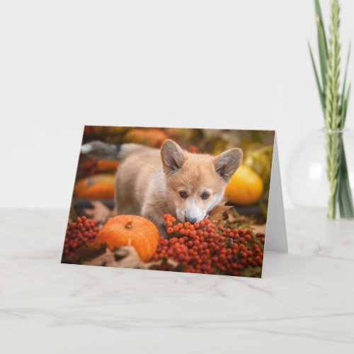 Cutest Baby Animals  Corgi Puppy  in Autumn Card
