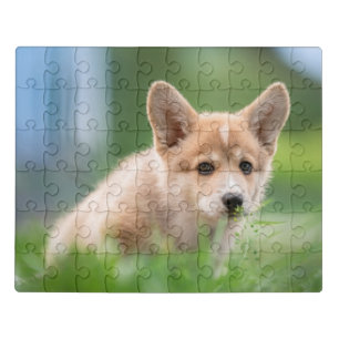 Cutest Baby Animals Corgi Puppy in the Yard Jigsaw Puzzle