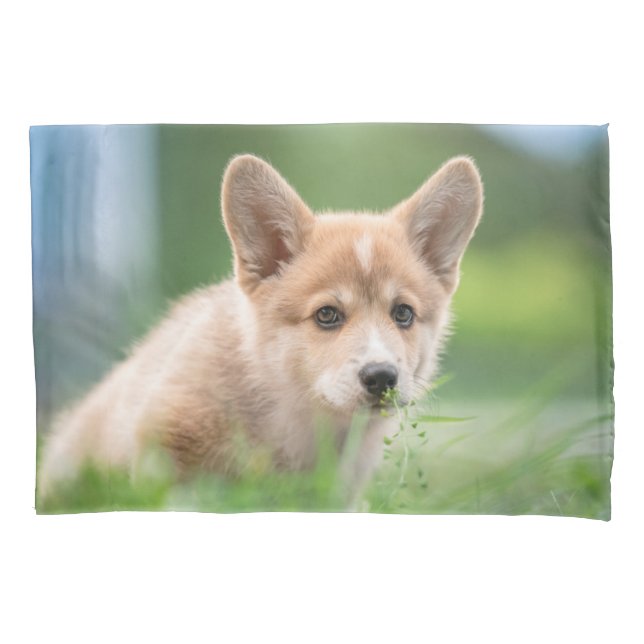 Cutest Baby Animals | Corgi Puppy in the Yard Pillow Case (Front)
