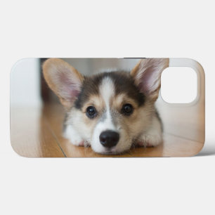 Cutest Baby Animals Corgi Puppy Looking iPhone 13 Case