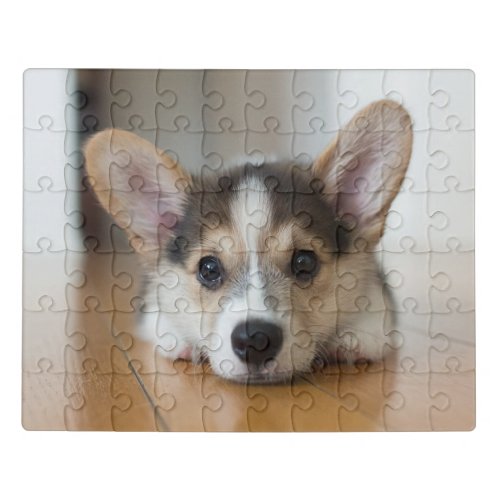 Cutest Baby Animals  Corgi Puppy Looking Jigsaw Puzzle