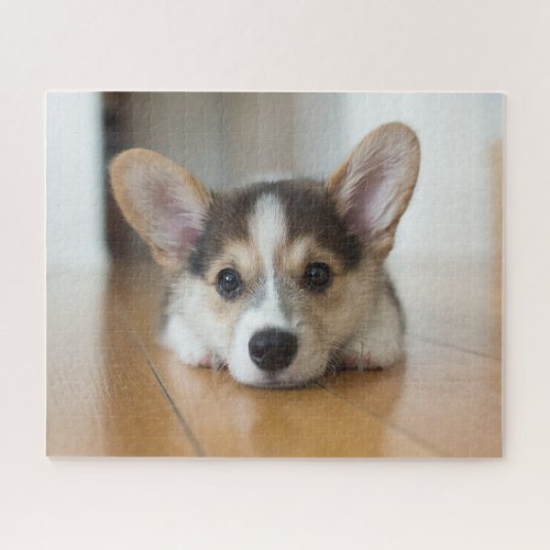 Cutest Baby Animals  Corgi Puppy Looking Jigsaw Puzzle