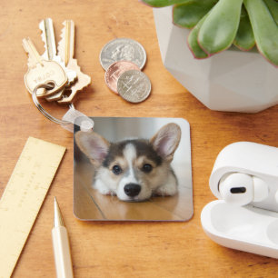 Cutest Baby Animals Corgi Puppy Looking Keychain