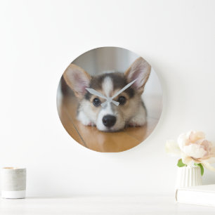 Cutest Baby Animals Corgi Puppy Looking Large Clock