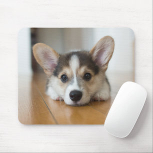 Cutest Baby Animals Corgi Puppy Looking Mouse Pad