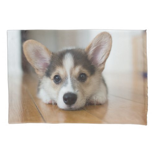 Cutest Baby Animals  Corgi Puppy Looking Pillow Case