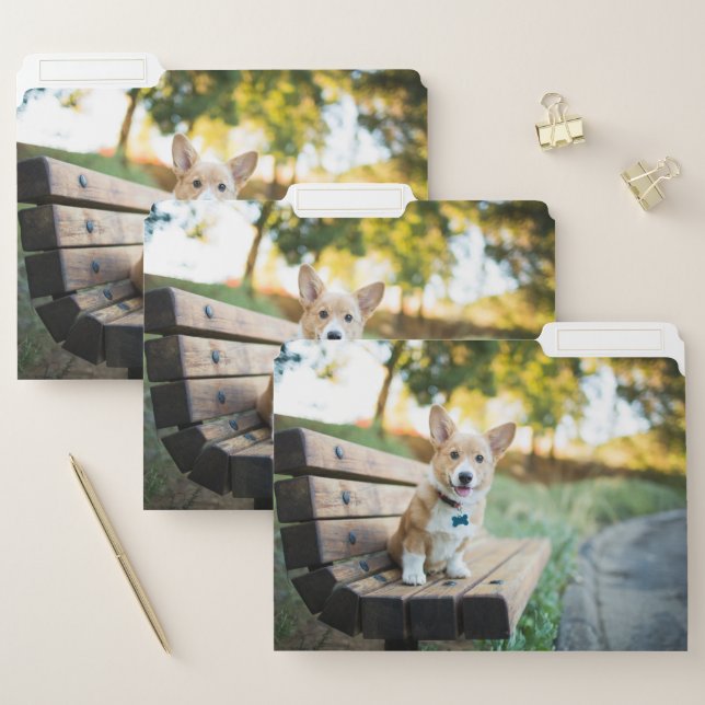 Cutest Baby Animals | Corgi Puppy on a Park Bench File Folder (Set)