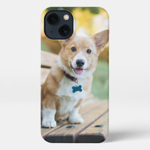 Cutest Baby Animals Corgi Puppy on a Park Bench iPhone 13 Case