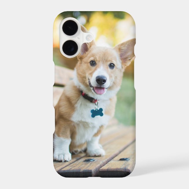 Cutest Baby Animals | Corgi Puppy on a Park Bench iPhone Case (Back)