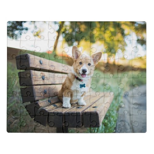 Cutest Baby Animals  Corgi Puppy on a Park Bench Jigsaw Puzzle