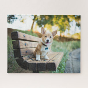 Cutest Baby Animals Corgi Puppy on a Park Bench Jigsaw Puzzle