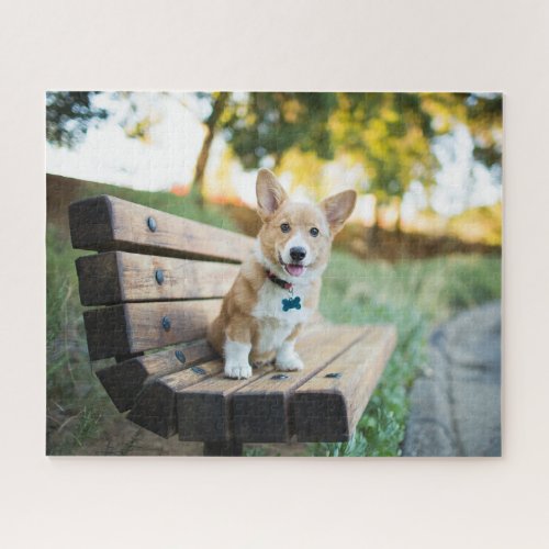 Cutest Baby Animals  Corgi Puppy on a Park Bench Jigsaw Puzzle