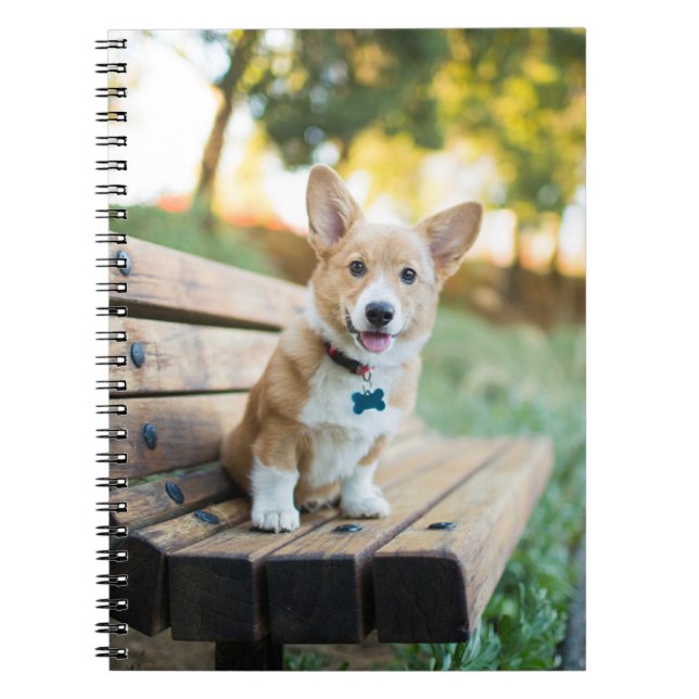 Cutest Baby Animals | Corgi Puppy on a Park Bench Notebook (Front)