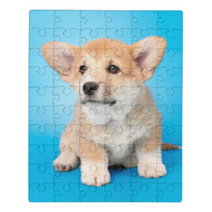 Cutest Baby Animals Corgi Puppy on Blue Jigsaw Puzzle