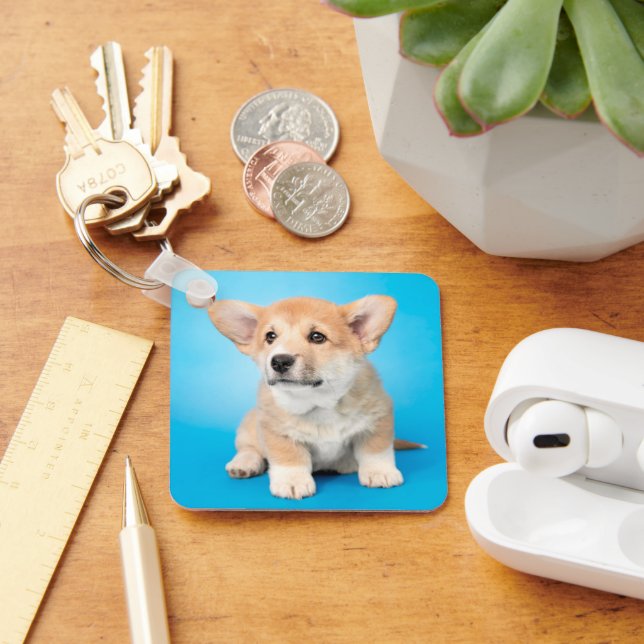Cutest Baby Animals | Corgi Puppy on Blue Keychain (Desk)