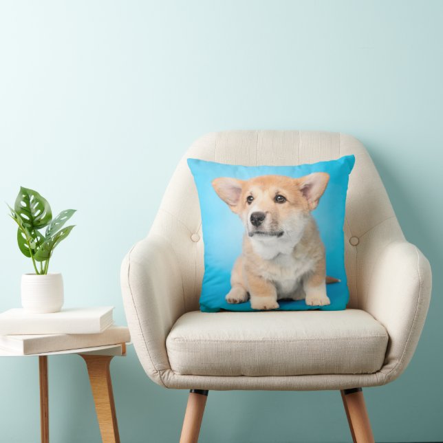 Cutest Baby Animals | Corgi Puppy on Blue Throw Pillow (Chair)