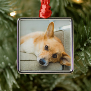Cutest Baby Animals Corgi Puppy on Couch Metal Ornament